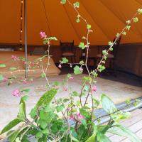Glamping Hoeve Thenaers