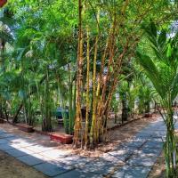 Patnem Palm Garden，帕羅林的飯店