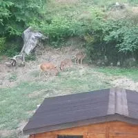 Viesnīca Les cimes - Le gîte pilsētā Saint-Pierre-de-Rivière