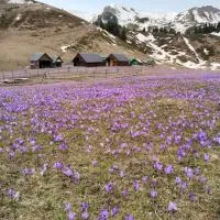 Katun Siska Medna Dolina, hotel em Berane