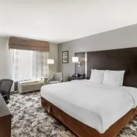 Best Western Plus Fairburn Atlanta Southwest, ξενοδοχείο σε Fairburn
