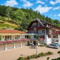Flair Hotel Adlerbad, hotel Bad Peterstalban