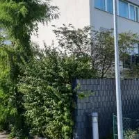 Haus Blindenmarkt, hótel í Amstetten