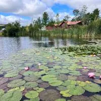 Geese Villa Log House, готель у місті Harrington