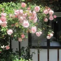 Rose Cottage at The Elms、クライストチャーチにあるクライストチャーチ国際空港 - CHCの周辺ホテル