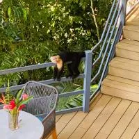 Viesnīca Villas en el Bosque pilsētā Ohočala