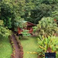Cataratas Bijagua Lodge, incluye tour autoguiado Bijagua Waterfalls Hike, hotel a Bijagua