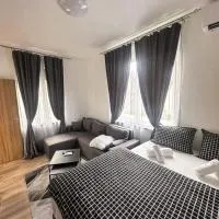 Apartmani M.&.B Luks 2, hotel en Mataruška Banja