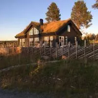 New and cozy family cabin on Golsfjellet, hotel sa Golsfjellet