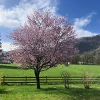 Open Garden Mountain Lodge، فندق في أوبراودورف