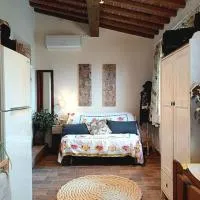 Casa Dell'Arte Botanica, hotel a Palaia