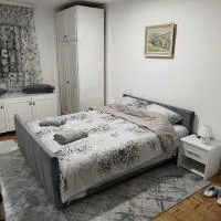 Apartman NINASTA, hotel v destinaci Pirot