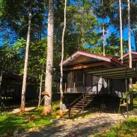 The Elements Costa Rica Nature Lodges、Platanilloのホテル