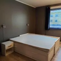 Appartments By Nordic X، فندق في Vittangi