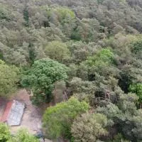 Natuurslaapkamer de zaadeest boskamer، فندق في Lomm