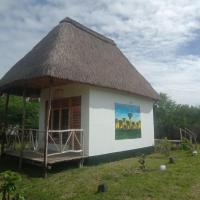 Real African Life safaris and Camps, hotell sihtkohas Lukungu lennujaama Kirawira B Aerodrome - GTZ lähedal