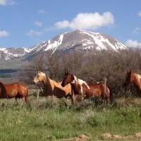 Mount Peale Country Inn near Moab, ξενοδοχείο σε La Sal
