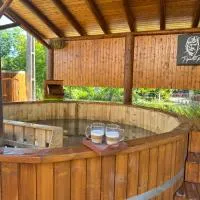 Cabana Popasul lui Pintea, hotel u gradu Dež