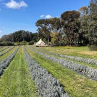 Lavender Glamping, hotel a prop de Aeroport de Cagliari Elmas - CAG, a Elmas