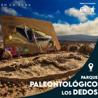 Cabañas Ecologicas Alto Cañizares, hôtel à Bahia Inglesa près de : Aéroport Desierto de Atacama - CPO