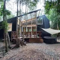 En Bosque, con Río, sin vecinos y Wifi Starlink, хотел в Puelo