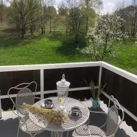 W Karkonoszach na Chacie jacuzzi, sauna, bilard, leśny park, hotel di Wojcieszyce