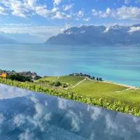 Baron Tavernier Hotel Restaurant & SPA, Hotel in Chexbres