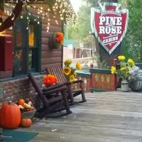 Arrowhead Pine Rose Cabins, hotel u gradu 'Twin Peaks'