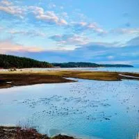 Beautiful Oceanview Retreat 2 Bedroom Home, hotel em Port Hadlock