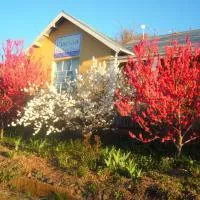 Karma Backpackers, hotell i Kestell
