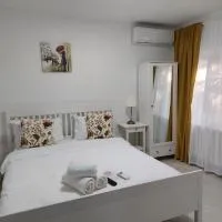 Vila de pe Lac Amara, viešbutis mieste Amara