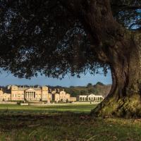 Palmers Folly