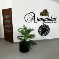 Aranydukát Vendégház Tállya โรงแรมในTállya