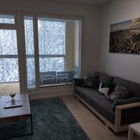 Modern compact apartment in Espoo