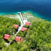 Raja Ampat Blue Sea, hotel di Besir