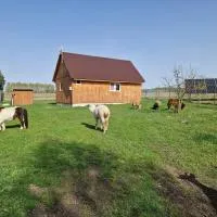 Eurostruś - zoo, domki, hôtel à Borzychy