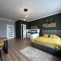 Apartamenty w Kamienicy, hótel í Poddębice