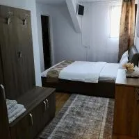 Casa Hortensia, hotel a Tăşnad