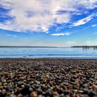 Lone Pine Oceanfront Cottage, hotel in Prospect Harbor