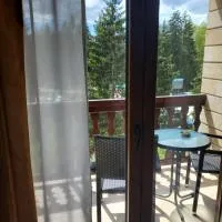 Apartman Pavle, hotel em Nova Varoš