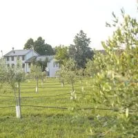 Casa di Alba - Alloggi turistici, hotel a Vigolzone