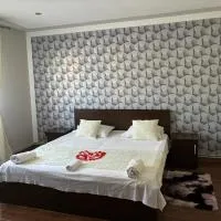 Casa Otilia, hotel em Chişcău