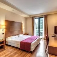 Luna Hotel Lago Maggiore Arona, hotel en Oleggio Castello