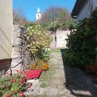 Casa Turcoaz, hótel í Sviniţa
