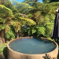 Whare&geothermal pool by lake Taupo, hotell sihtkohas Turangi