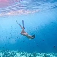 Green Leaf Guest House - Omadhoo, hotel di Omadhoo