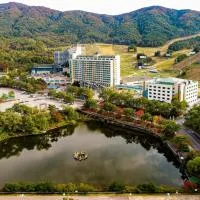 Viesnīca Wellihilli Park Resort pilsētā Hoengseong