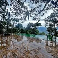 Viceroy Luxury Mountain Resort and Spa, hotel en Munnar