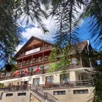 Vila Riki, hotel em Borsec