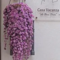 Vacanza alla Chiesa Diruta, Hotel in Grottole